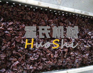 蒸女贞子、黄精体验